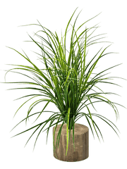 Grass Artificial Plant Premium Faux 75cm Height