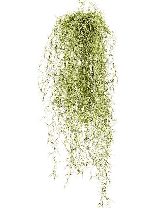 Long hair Artificial Plant Premium Faux 80cm Height