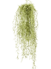 Long hair Artificial Plant Premium Faux 80cm Height