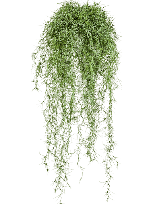 Long hair Artificial Plant Premium Faux 80cm Height