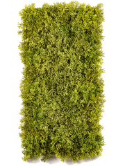 Moss Artificial Plant Premium Faux cm Height