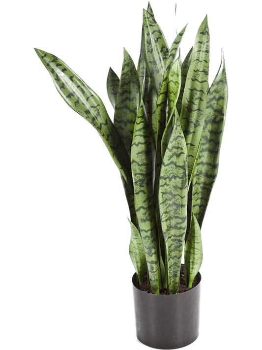 Sansevieria Artificial Plant Premium Faux 80cm Height