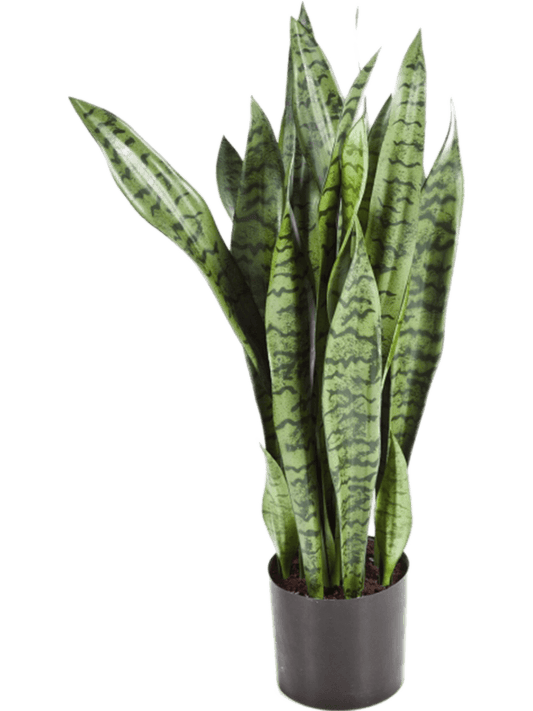 Sansevieria Artificial Plant Premium Faux 93cm Height