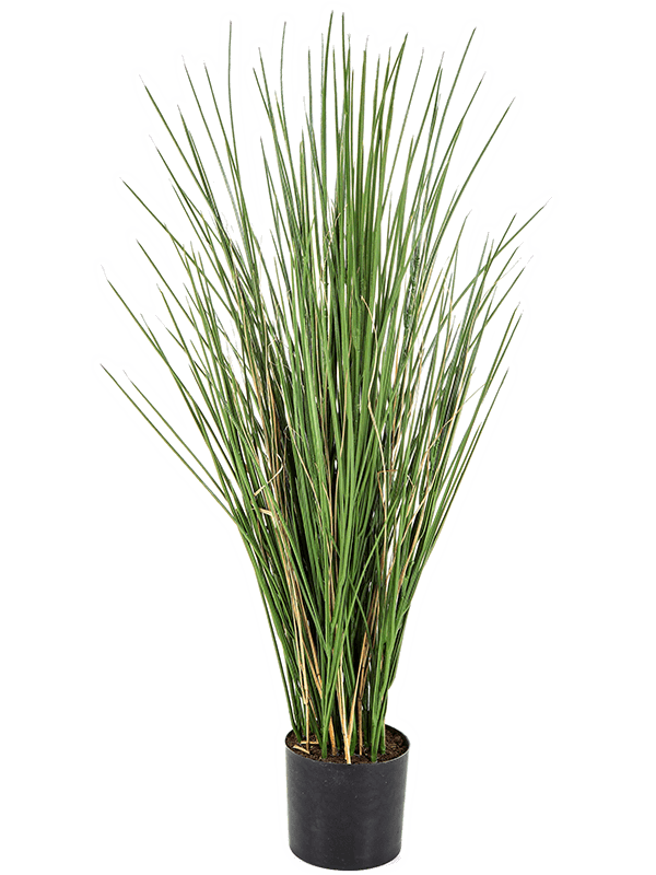 Honey Grass Artificial Plant Premium Faux 80cm Height