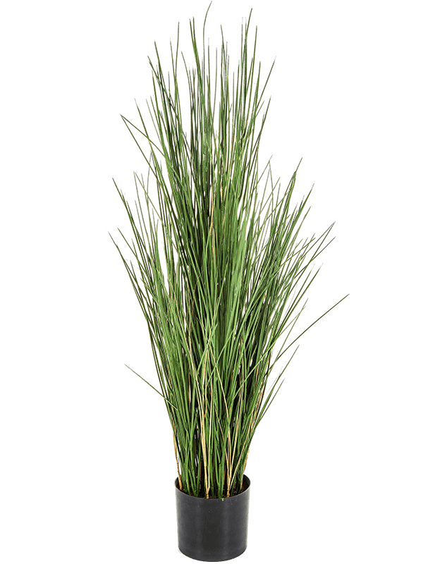 Honey Grass Artificial Plant Premium Faux 120cm Height