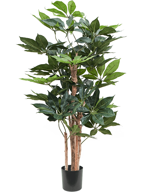 Schefflera Artificial Plant Premium Faux 145cm Height