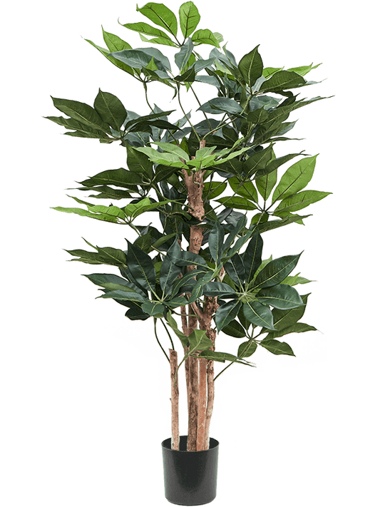 Schefflera Artificial Plant Premium Faux 145cm Height