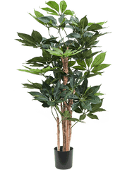 Schefflera Artificial Plant Premium Faux 145cm Height