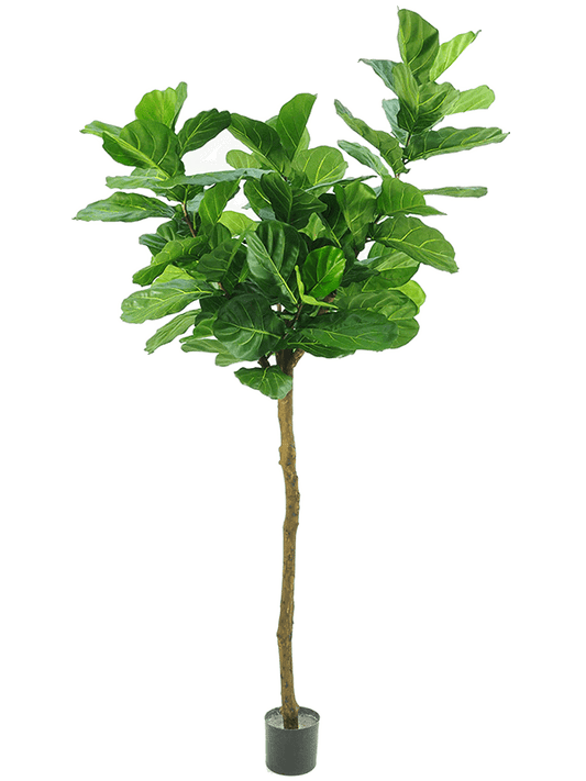 Fiddle Leaf Tree Artificial Plant Premium Faux 225cm Height