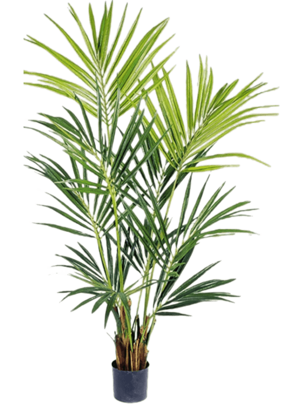 Kentia Artificial Plant Premium Faux 172cm Height