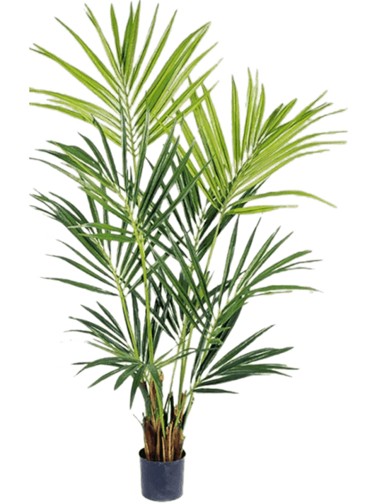 Kentia Artificial Plant Premium Faux 172cm Height