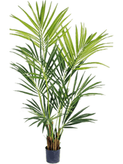 Kentia Artificial Plant Premium Faux 172cm Height