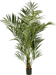 Kentia Artificial Plant Premium Faux 225cm Height