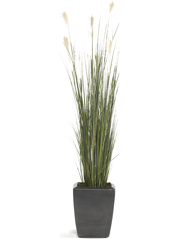 Grass Pampas Artificial Plant Premium Faux 150cm Height