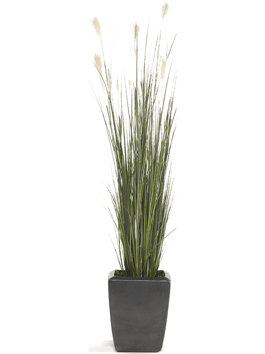 Grass Pampas Artificial Plant Premium Faux 150cm Height