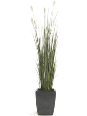 Grass Pampas Artificial Plant Premium Faux 150cm Height