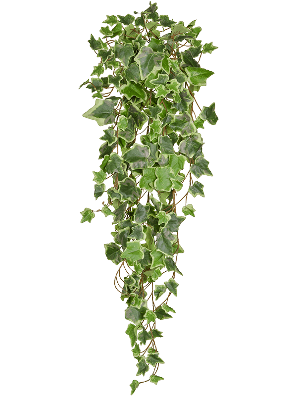 Ivy Green Variegated Artificial Plant Premium Faux 86cm Height