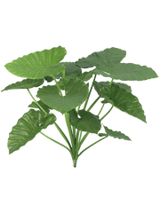 Alocasia Calidora Artificial Plant Premium Faux 84cm Height