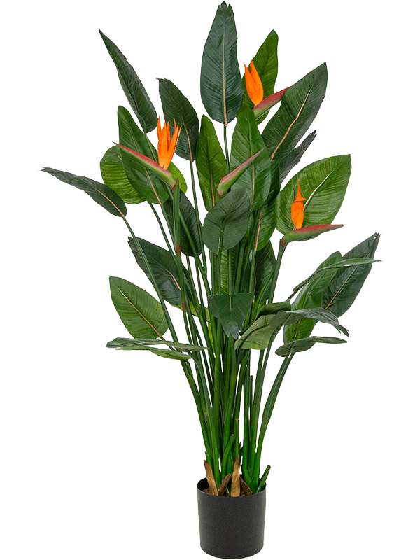 Strelitzia Artificial Plant Premium Faux 150cm Height