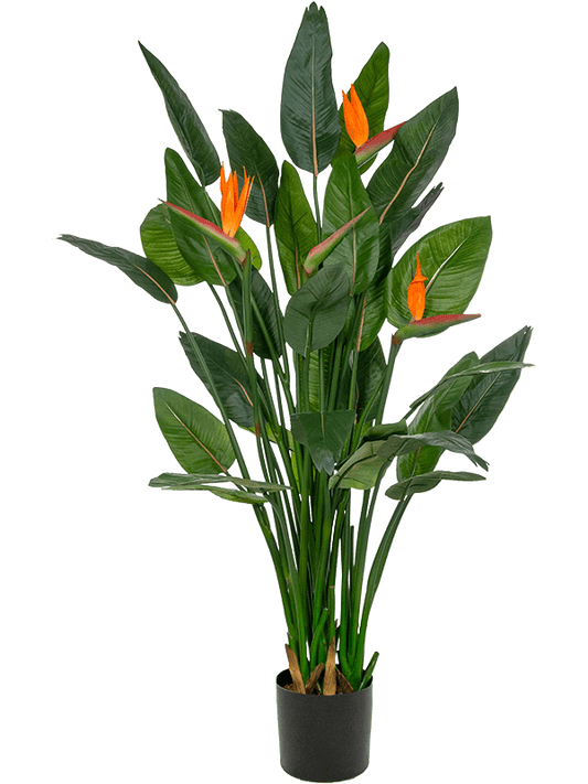 Strelitzia Artificial Plant Premium Faux 150cm Height