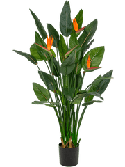 Strelitzia Artificial Plant Premium Faux 150cm Height