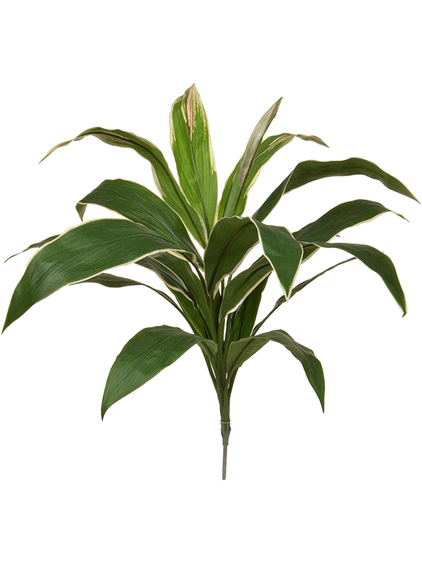 Cordyline Artificial Plant Premium Faux 62cm Height