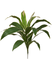 Cordyline Artificial Plant Premium Faux 62cm Height