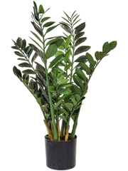 Zamioculcas Artificial Plant Premium Faux 90cm Height