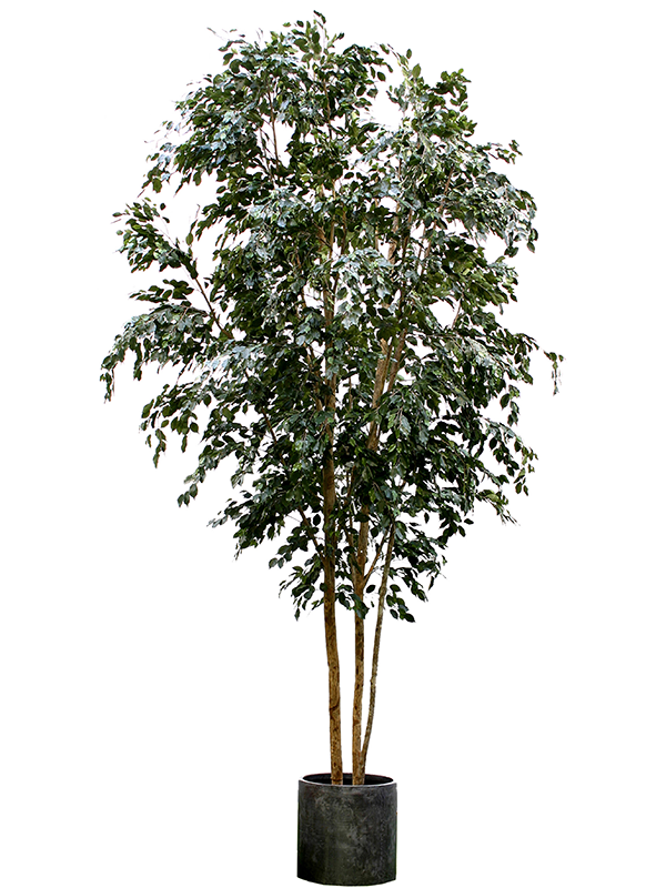 Ficus Exotica Artificial Plant Premium Faux 400cm Height