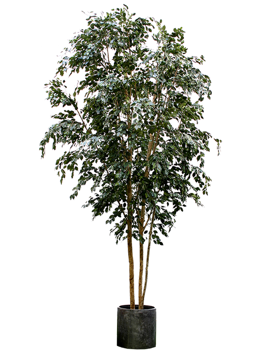 Ficus Exotica Artificial Plant Premium Faux 400cm Height