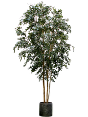 Ficus Exotica Artificial Plant Premium Faux 400cm Height