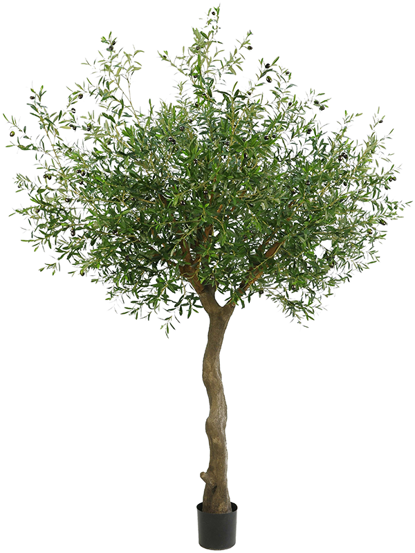 Olive Artificial Plant Premium Faux 230cm Height