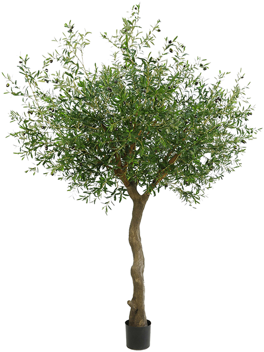 Olive Artificial Plant Premium Faux 230cm Height