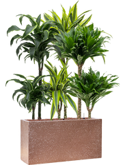 Plantenmix in Baq Terrazzo Office Plant With Pot 104cm Height 15cm Dia