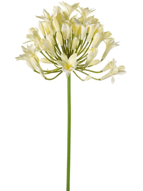 Agapanthus Artificial Plant Premium Faux 75cm Height Artificial Plants