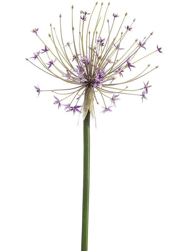 Allium Artificial Plant Premium Faux 105cm Height Artificial Plants