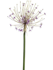 Allium Artificial Plant Premium Faux 105cm Height Artificial Plants