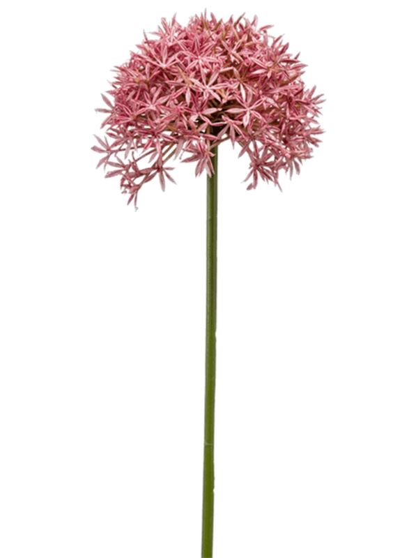 Allium Artificial Plant Premium Faux 62cm Height Artificial Plants