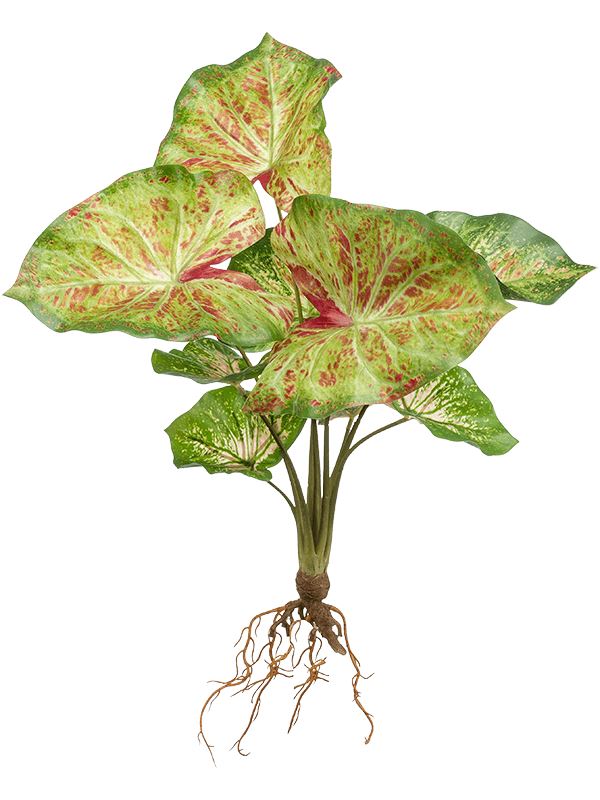 Anthurium Artificial Plant Premium Faux 40cm Height Artificial Plants