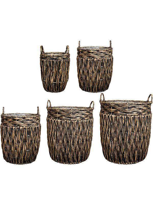 Astrid Plant Pot 53cm Height cm Dia Pot Brown (set of 5) Pots & Planters