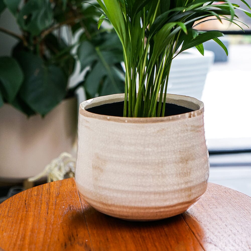 Como Ivory Indoor Ceramic 21cm Pot Pots & Planters