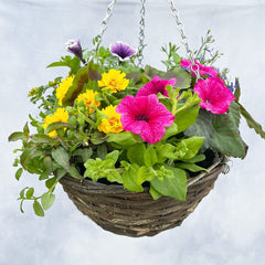 Hanging Basket Subscription 