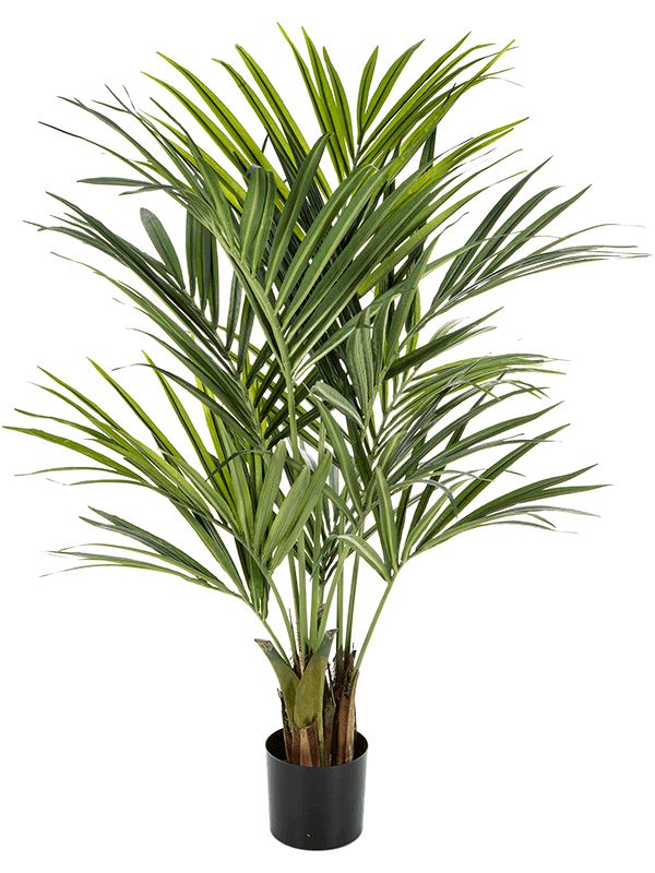 Kentia Artificial Plant Premium Faux 140cm Height Artificial Plants