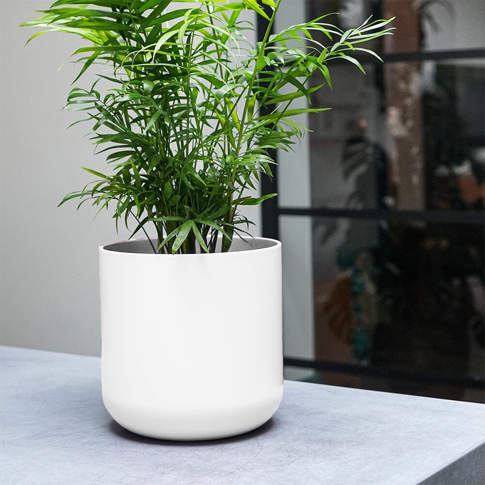 Lisbon Indoor Ceramic White 20.5cm Pot Pots & Planters
