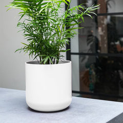 Lisbon White Ceramic 13.5cm Pot Pots & Planters