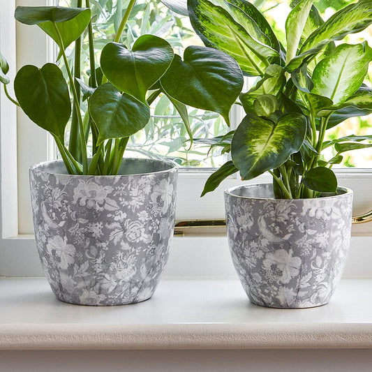 Monza Vintage Grey Indoor Ceramic 17cm Pot Pots & Planters