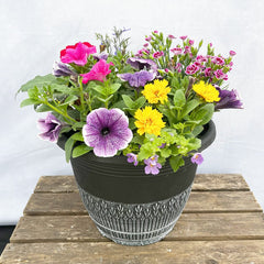 Patio Planter Subscription 