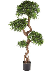 Podocarpus Artificial Plant Premium Faux 135cm Height Artificial Plants