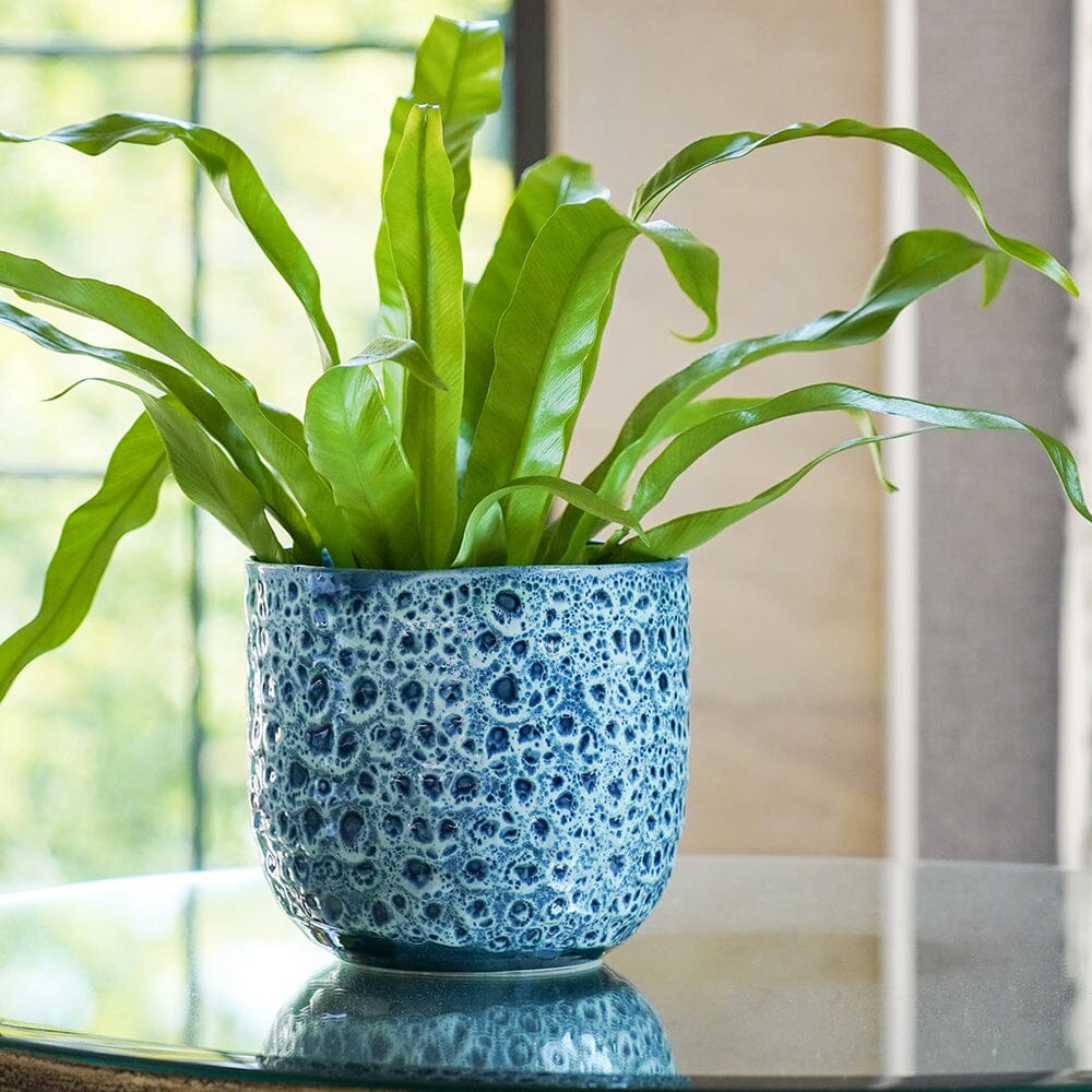 Sapphire Reactive Glaze Indoor Ceramic 13cm Pot Pots & Planters
