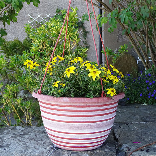 30cm Olympia Basket Terracotta/White Plant Pot Outdoor Pots